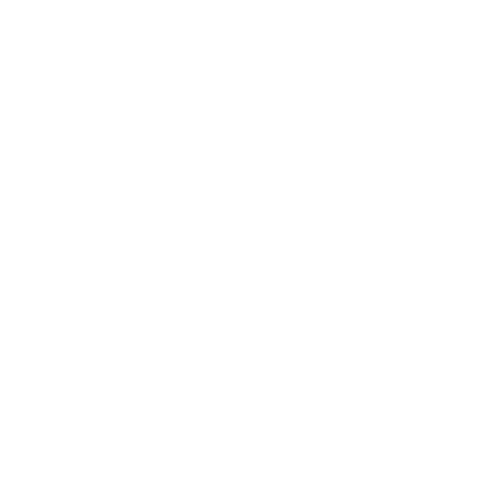 Steam